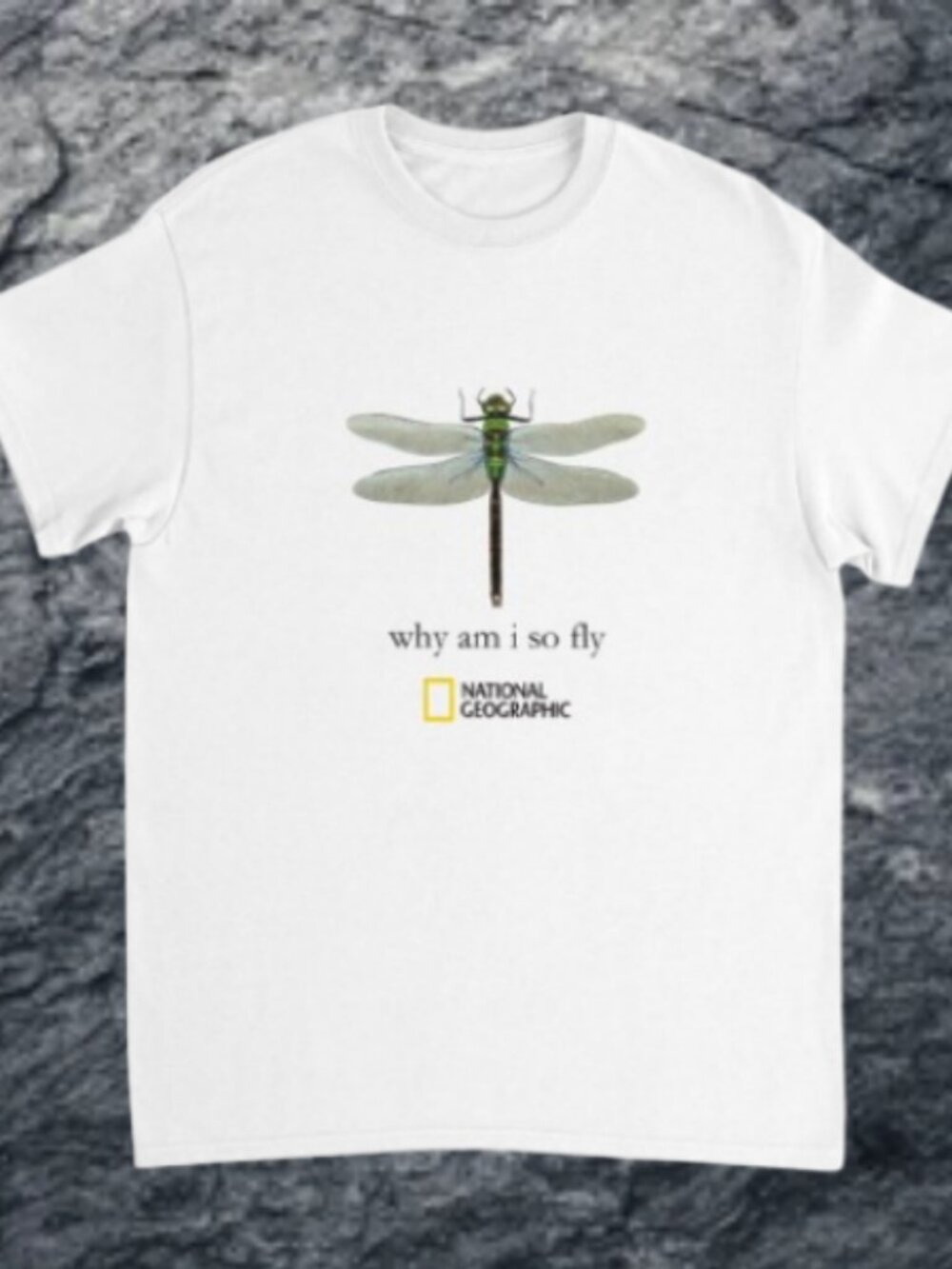 National Geographic 'Why Am I So Fly' Nature Shirt